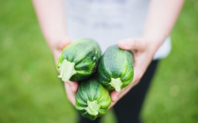 Rollitos de Calabacín rellenos de Quinoa y Verduras: Una Explosión de Sabores Saludables